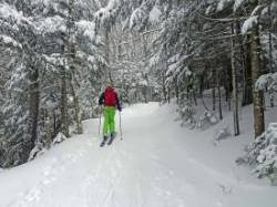 Backcountry skiing Photo: Sheri Larsen
