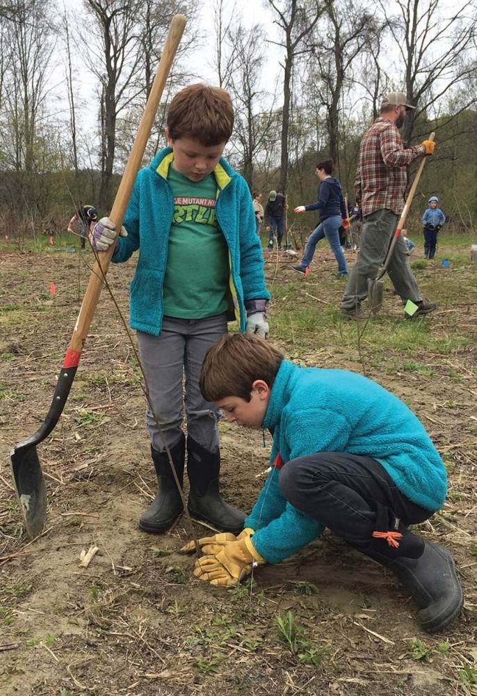 Floodplain Forests: Nature’s Flood Relief