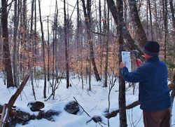 January 2019 Photo: Steve Bjerklie/NH Timberland Owners Association, www.nhtoa.org