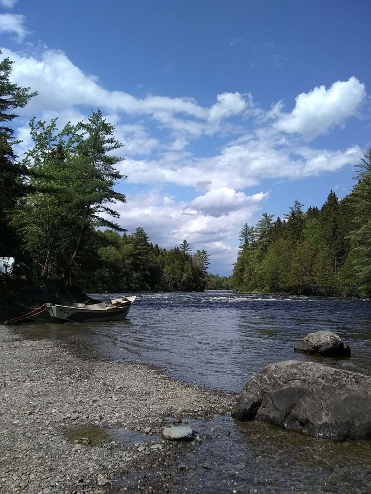 North Woods Conservation with Karin Tilberg