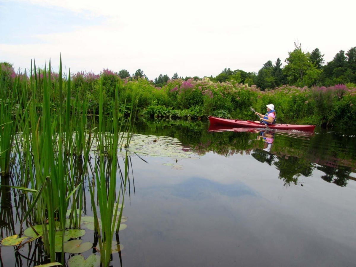 Linda Gibbs: Sharing Special Places