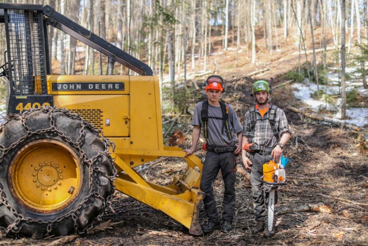 Harvesting Timber in the Adirondacks