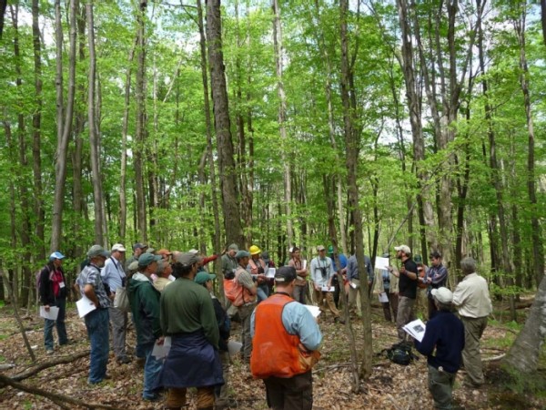 Steve Hagenbuch Manages the Forests for the Birds