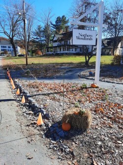 A Spooky Garden Photo: Emily S. Rowe