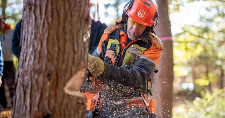 How to notch tree