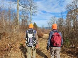 Mt Greylock Photo: Janice Tassinari