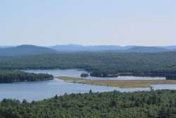 Floating Bog Photo: John Blaser