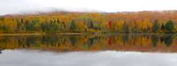 Coffin Pond Photo: Frank Kaczmarek