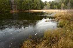 Early Ice Pond Photo: Ken Hatch