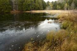 Early Ice Pond Photo: Ken Hatch