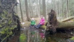 Forest Pool Kids Photo: Lydia Brinkley