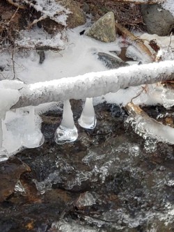 Ice globes Photo: Hugh Mellert