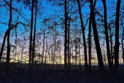 Sunset Photo: Clare Lise Kelly