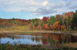 Steam mill brook Photo: Judy Sweet