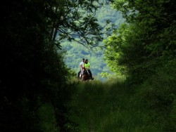 Horseback Riders Photo: Charlie Schwarz