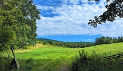 Old Field Photo: Marcy Stanton