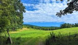 Old Field Photo: Marcy Stanton