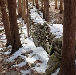 Woodchuck Hill Photo: Susan E. March