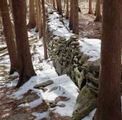 Woodchuck Hill Photo: Susan E. March