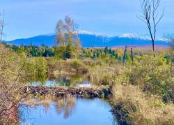 Snowy mountains Photo: Karinne Heise