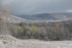 Snowfall Photo: Clare Lise Kelly