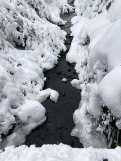 Winding stream Photo: Alice B. Fogel