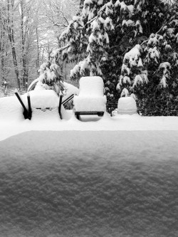 First Snowfall from Inside Photo: Jennifer Edmondson