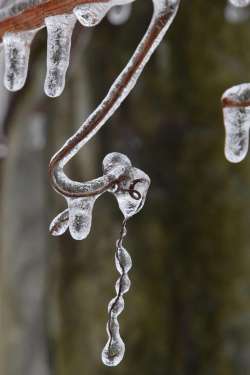 Freezing rain Photo: Samantha Wolf