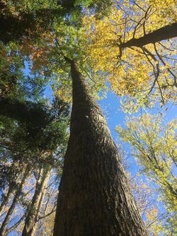 October 2017 Photo: Colin Miller