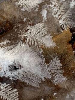Ice Crystals Photo: Sandra Fary