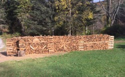 Oak Still Life Photo: Jody Bronson