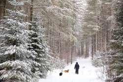 Snowshoeing Photo: Tom Grett