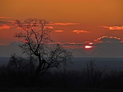 Sunrise Photo: Tami Gingrich