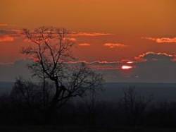 Sunrise Photo: Tami Gingrich