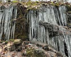 Winter icicles Photo: Sheri Larsen