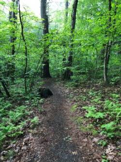 Fitzgerald Lake Photo: Janet Miller