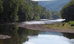 Loyalsock Creek Photo: Charlie Schwarz