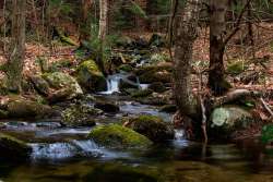 Mountain stream Photo: Benjamin Wymer