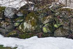 Neon stone wall Photo: Judy Sweet