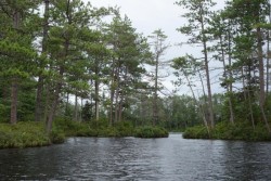 Clear pond Photo: John W. Blaser