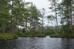 Clear pond Photo: John W. Blaser
