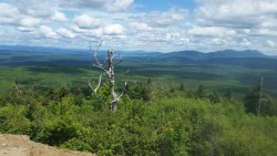 Quill Hill Photo: Cheri Birch