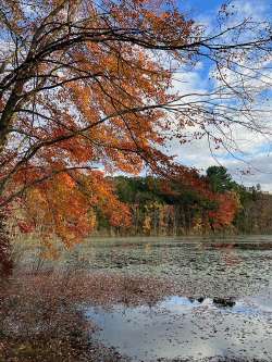 Taylor pond Photo: Kathleen Demers