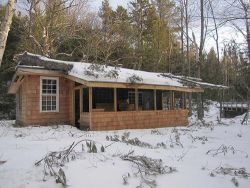47---trees_come_down_winter_2018_newry_me.jpg