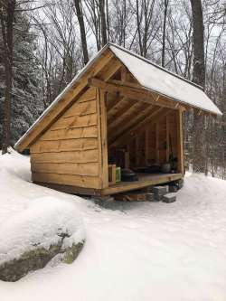 Forest leanto Photo: Amy and Rodney Johnson