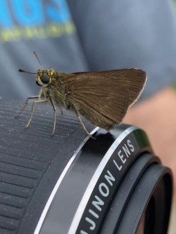 Skipper Photo: Chris Demers