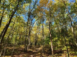 Smithfield trail Photo: Scott Ruhren