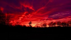 Blazing sky Photo: Ross Lanius