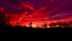 Blazing sky Photo: Ross Lanius