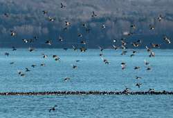 Lake Champlain Photo: Sheri Larsen